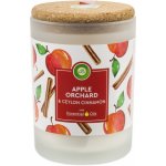 Air Wick Essentials Oils Apple Orchard & Ceylon Cinnamon 185 g – Hledejceny.cz