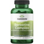 Swanson Berberin Complex Skořice Gymnema Fenugreeek 90 kapslí – Hledejceny.cz