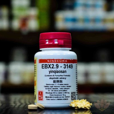 Sinecura EBX2.9 3149 60 tablet – Hledejceny.cz