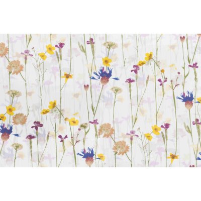 Darré BAVLNĚNÁ LÁTKA LUČNÍ SEN š.160 bavlna – Sleviste.cz