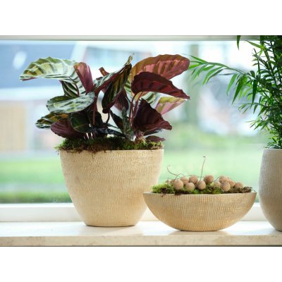 Ter Steege Váza široká Ryan shiny sand D33x16 H25 – Hledejceny.cz