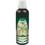 Naděje Březové jehnědy tinktura z pupenů 50 ml – Hledejceny.cz