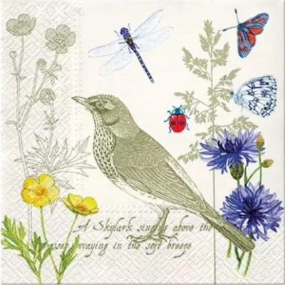 Ubrousek 33x33 cm Ptáček a chrpy – Zboží Dáma