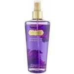 Victoria´s Secret Love Spell tělový sprej 250 ml