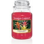 Yankee Candle Tropical Jungle 623 g – Hledejceny.cz