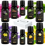 Aromaholik esenicální olej Dámská sada 10 x 10 ml – Hledejceny.cz