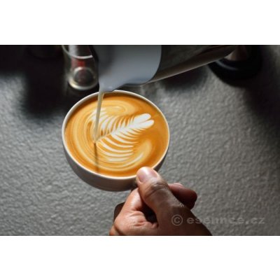 Kurz kávy - Latté art – Hledejceny.cz
