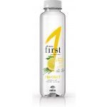 Fructal PROTECT citron citronová tráva 0,5 l – Hledejceny.cz