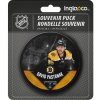 Hokejový puk Inglasco / Sherwood Boston Bruins David Pastrňák #88 Exclusive Player