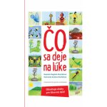 Magduša Klocháňová Čo sa deje na lúke – Hledejceny.cz
