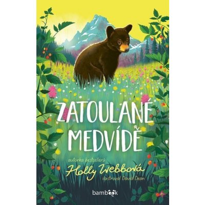 Zatoulané medvídě - David Dean, Holly Webbová – Hledejceny.cz