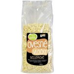 Green Apotheke Vločky ovesné bezlepkové celozrnné 500 g – Hledejceny.cz