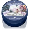 Svíčka Country Candle Blueberry Cream Pop 35 g