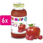 HiPP BIO Jablečno-malinová 6 x 200 ml – Sleviste.cz