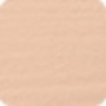 Shiseido Synchro Skin Self-Refreshing Foundation dlouhotrvající make-up SPF30 160 Shell 30 ml – Zboží Mobilmania