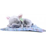 Rappa pes Francouzský buldoček ležící 23 cm – Zboží Mobilmania