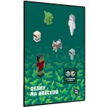 Karton P+P Desky na abecedu Playworld – Hledejceny.cz