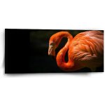 Sablio Obraz Plameňák - 110x50 cm – Hledejceny.cz