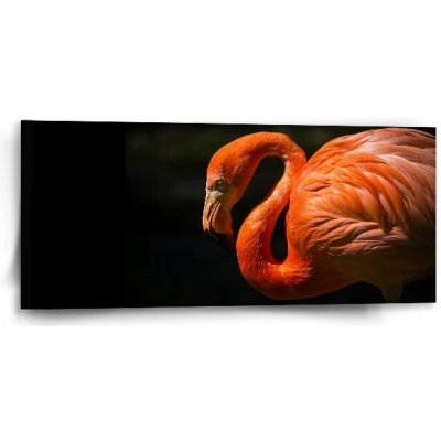 Sablio Obraz Plameňák - 110x50 cm – Hledejceny.cz