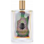 Amouage Portrayal Man parfémovaná voda pánská 100 ml – Hledejceny.cz