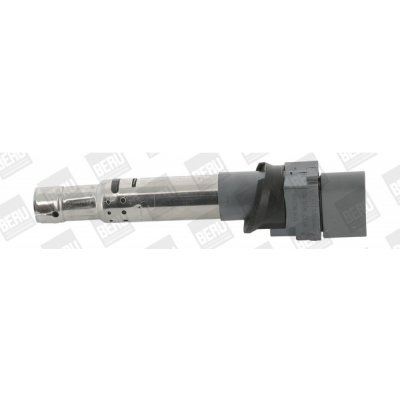 Zapalovací cívka BorgWarner (BERU) ZSE041 – Hledejceny.cz