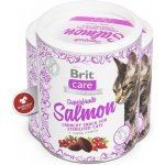 Brit Care Cat Snack Superfruits Salmon 100 g – Zbozi.Blesk.cz