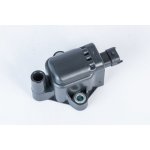 Zapalovací cívka BorgWarner (BERU) ZS593 | Zboží Auto