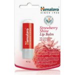 Himalaya Herbals balzám na rty s jahodovým leskem 4,5 g – Zbozi.Blesk.cz