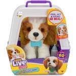Cobi Little Live Pets Moje opravdové štěňátko 26548 – Zboží Dáma