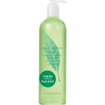 Elizabeth Arden Green Tea sprchový gel 500 ml – Zboží Mobilmania