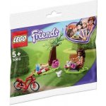 LEGO® Friends 30412 Park Picnic polybag – Hledejceny.cz