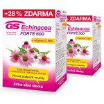 GS Echinacea Forte 600 2 x 90 tablet – Hledejceny.cz