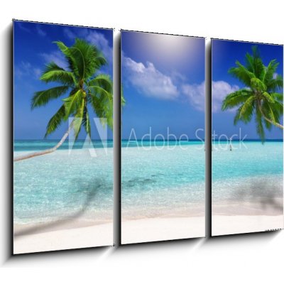 Obraz 3D třídílný - 105 x 70 cm - Traumstrand in den Tropen mit trkisem Meer, Kokosnusspalmen und feinem Sand Dream beach v tropech s tyrkysovým mořem, kokosovými palmam