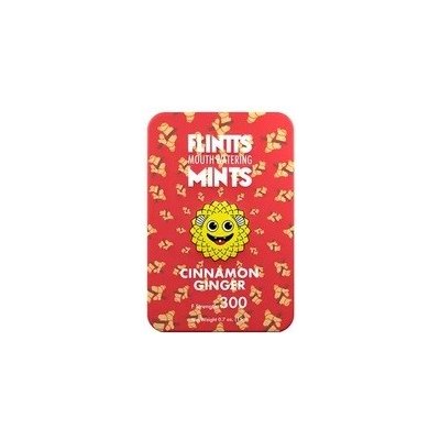 FLINTTS MINTS pastilky proti suchu v ústech Cinnamon ginger 15 g – Zboží Mobilmania