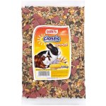 Nutrin Darwin's Standard Morče a Králík 1 kg – Zbozi.Blesk.cz