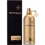 Montale Aoud Ambre parfémovaná voda unisex 100 ml – Hledejceny.cz