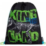 Karton P+P Premium dinosaurus 3-09723 – Hledejceny.cz