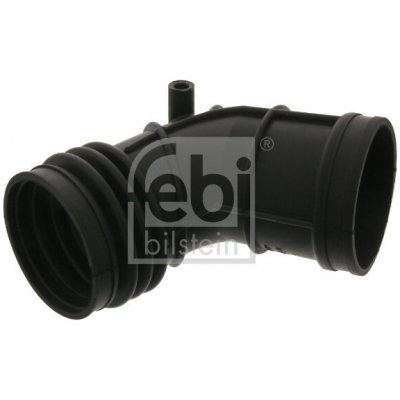 Sací hadice, vzduchový filtr FEBI BILSTEIN 39055 – Hledejceny.cz