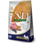 N&D Ancestral Grain Dog Adult Mini Lamb & Blueberry 0,8 kg – Zboží Mobilmania