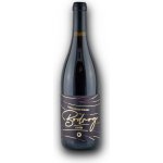 Tokaj Macik Bodrog Cuvée 2017 CHOP 13% 0,75 l (holá láhev) – Hledejceny.cz