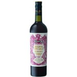 Martini Riserva Speciale Rubino 18% 0,75 l (holá láhev) – Zboží Dáma