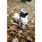 PetsUp Buvolí uzel přírodní 33 cm – Sleviste.cz