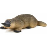 Animal Planet Ptakopysk podivný – Hledejceny.cz