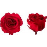 Hlavy růží - princess 16 ks Red - červená – Hledejceny.cz