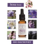 Bio Bachovky Štíhlá linie květové esence 20 ml – Hledejceny.cz