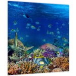 Obraz - Oceán, jednodílný 40x40 cm – Hledejceny.cz