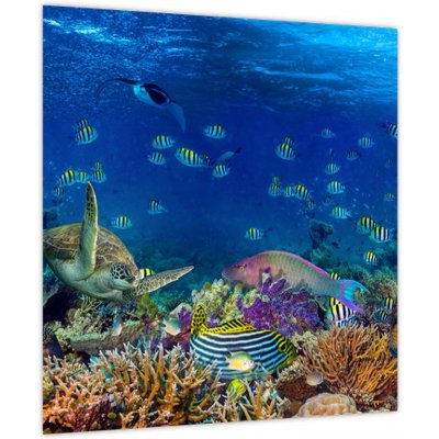 Obraz - Oceán, jednodílný 40x40 cm – Hledejceny.cz