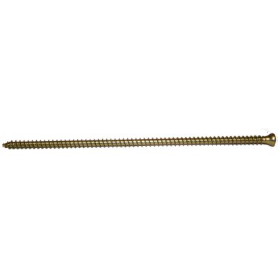 Vruty RAPI-TEC VG 8x240mm válcová hlava TX40 galvanický zinek – Hledejceny.cz