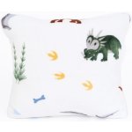 MKLuzkoviny.cz mikroplyš Exclusive Dinosauři 40 x 40 cm – Sleviste.cz