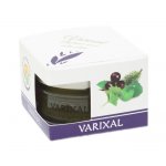 Salvia Paradise Varixal bylinná mast 50 ml – Zboží Dáma